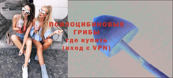 шишки Арсеньев