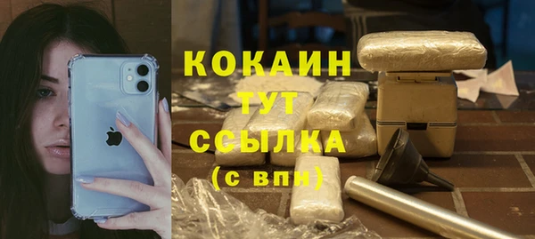 ПСИЛОЦИБИНОВЫЕ ГРИБЫ Аркадак