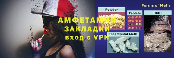шишки Арсеньев