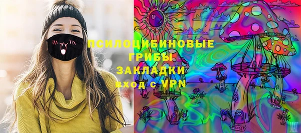 шишки Арсеньев