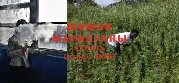 амф Болотное