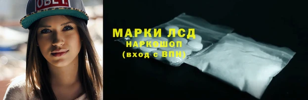 шишки Арсеньев