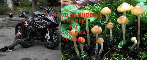 гашишное масло Армянск