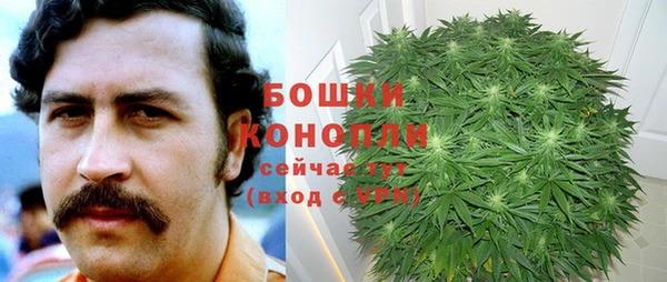 шишки Арсеньев