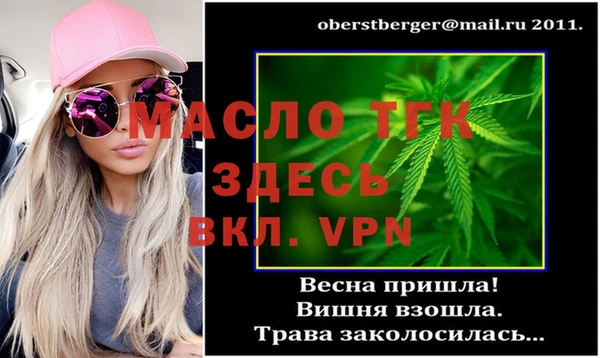 шишки Арсеньев