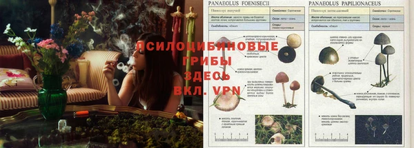 гашишное масло Армянск