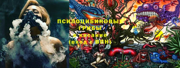 ПСИЛОЦИБИНОВЫЕ ГРИБЫ Аркадак